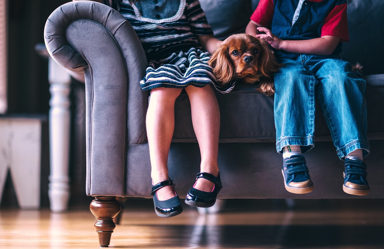 Wat zijn de gevolgen van kindermishandeling?